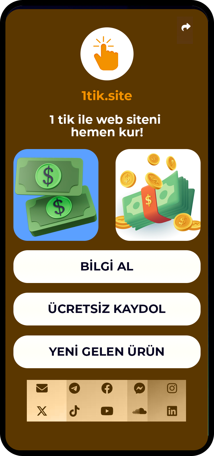 Biolink sayfa örneklerinin ekran görüntüsü